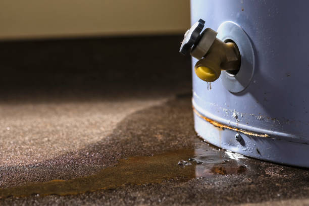 Trusted Rome, NY Water damage restoration Experts