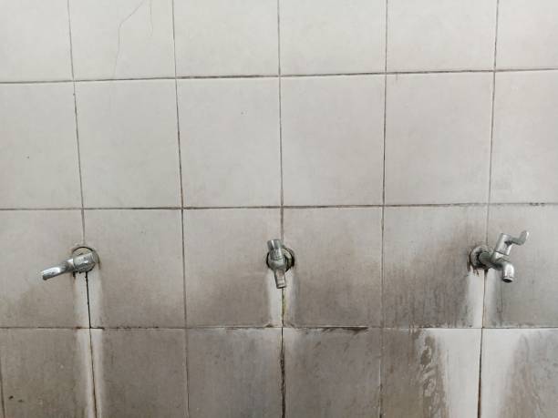Best Water damage restoration services  in Rome, NY